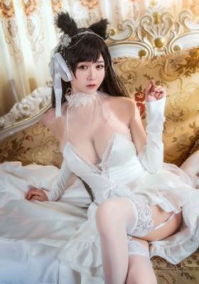 国医高手张扬全本免费阅读_1080P影视在线观看